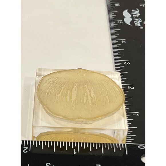 Pumpkin Photopolymer Stamp On Clear Acrylic Block - Picture 2 of 4